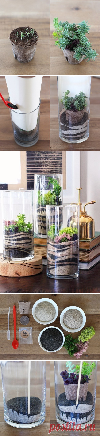 Флорариум своими руками — Сделай сам, идеи для творчества - DIY Ideas