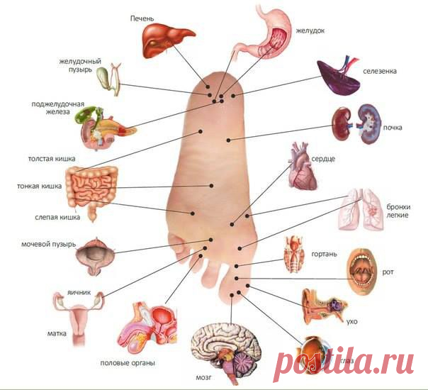 (1) Наталья Зенова - Оказывается, ОРГАНИЗМ человека НАЧИНАЕТ СТАРЕТЬ с...