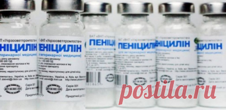 Всього лише дві пляшечки пеніциліну — і 40 років без гаймориту | НЕВЖЕ