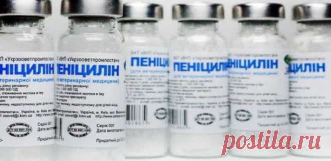Всього лише дві пляшечки пеніциліну — і 40 років без гаймориту | НЕВЖЕ