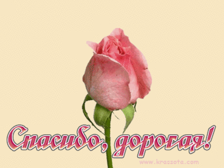 С Новым Годом! / Болталка / Поздравления
