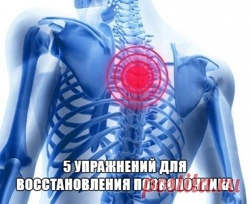 5 УПРАЖНЕНИЙ ДЛЯ ВОССТАНОВЛЕНИЯ ПОЗВОНОЧНИКА

Для позвоночника разработано множество упражнений, но основа у всех одна – растягивание и расслабление.

В итоге как у кошки, так и у собаки получается своеобразное волнообразное движение, которое вытягивает позвоночник. Их позвоночник до самой старости сохраняет подвижность и здоровье
Показать полностью…