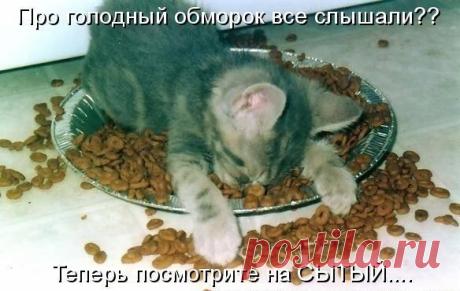 Смешная котоматрица!