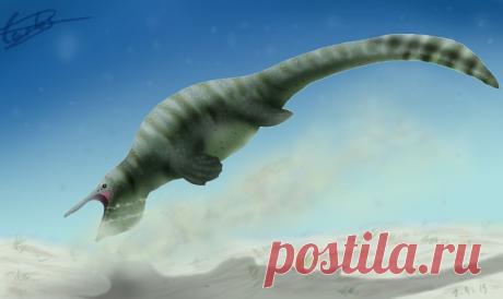 В Анапе кот кормил мышами брошенных щенков