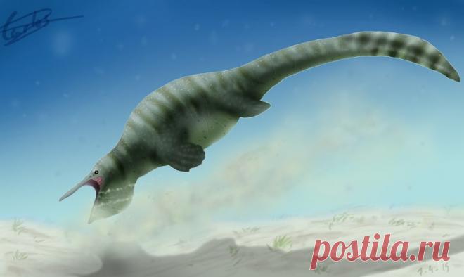 В Анапе кот кормил мышами брошенных щенков