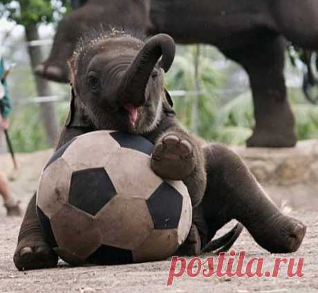 Spelen met een bal