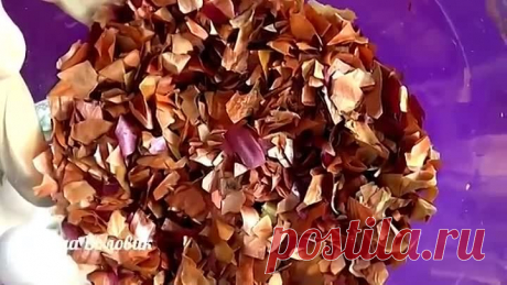 (4) Одноклассники