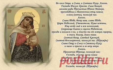 (3) Одноклассники
