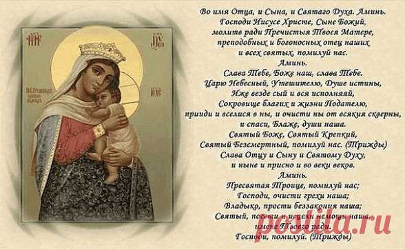 (3) Одноклассники