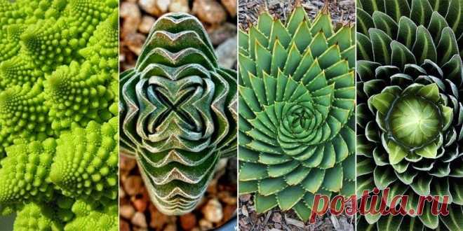 Самоцветик