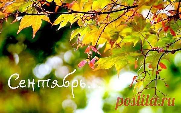 (1) Мой Мир@Mail.Ru