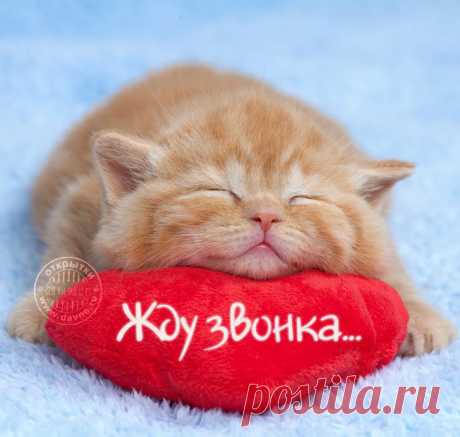 Картинки «скучаю» (36 фото) ⭐ Забавник