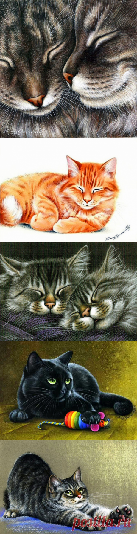 Кошки художницы Ирины Гармашовой.