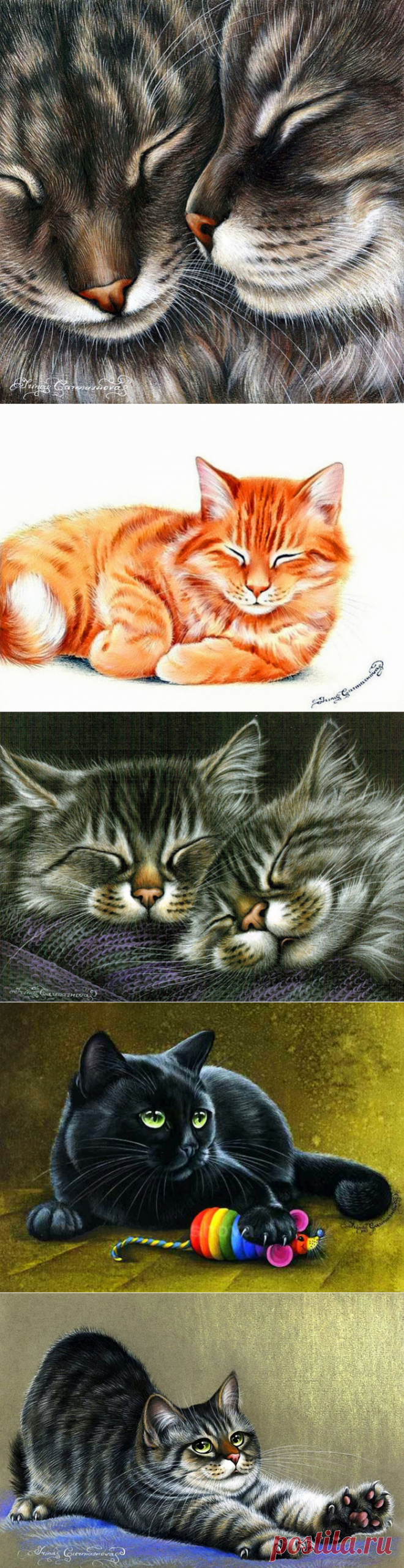Кошки художницы Ирины Гармашовой.