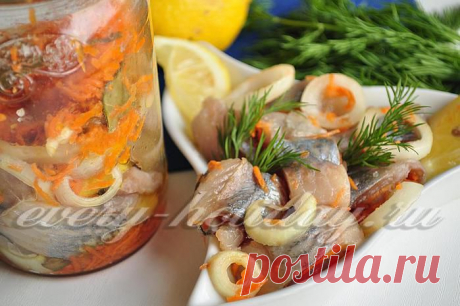Сельдь по-голландски: обещаю -- это очень вкусно!