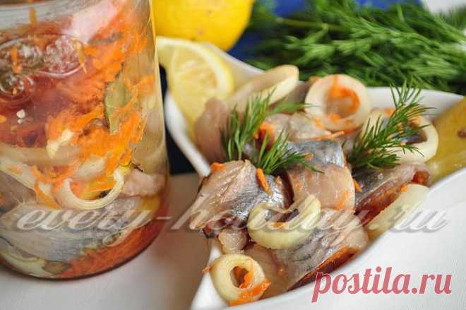 Сельдь по-голландски: обещаю -- это очень вкусно!