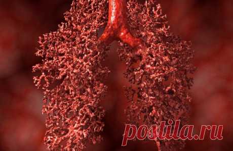 Ученые доказали эффективность простого способа избежать рака — Рамблер/доктор