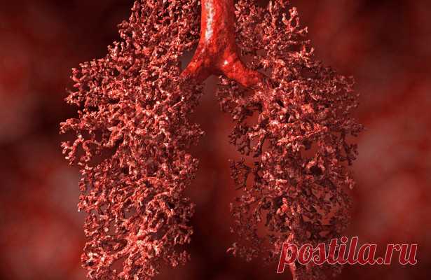 Ученые доказали эффективность простого способа избежать рака — Рамблер/доктор