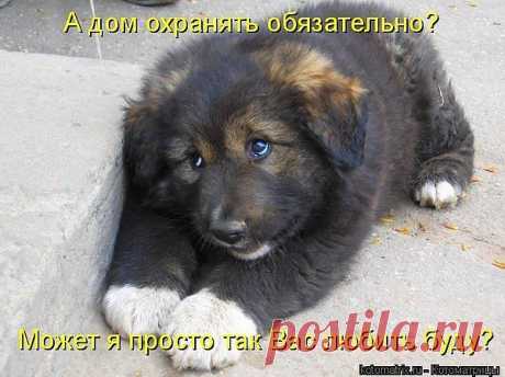 с любовью к вам.....