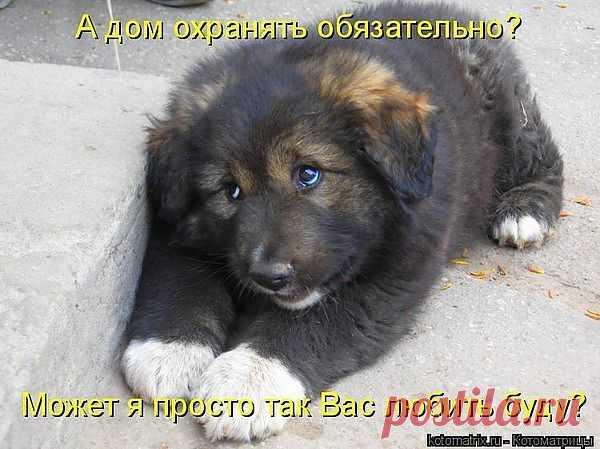 с любовью к вам.....