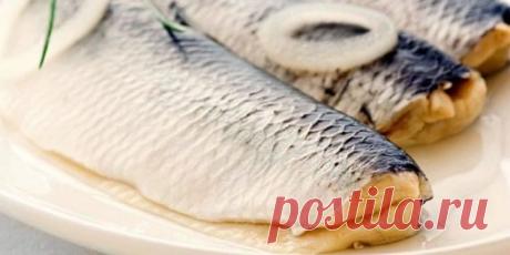 8 способов быстро и вкусно засолить селёдку