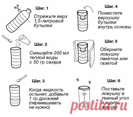 Избавляемся от комаров без ядовитой «химии»
