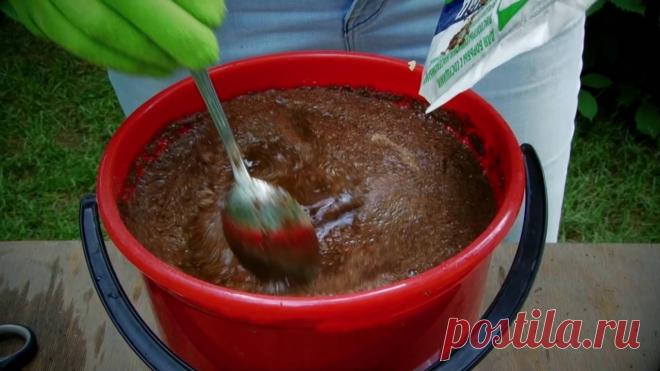 Табачная пыль - Садоводка