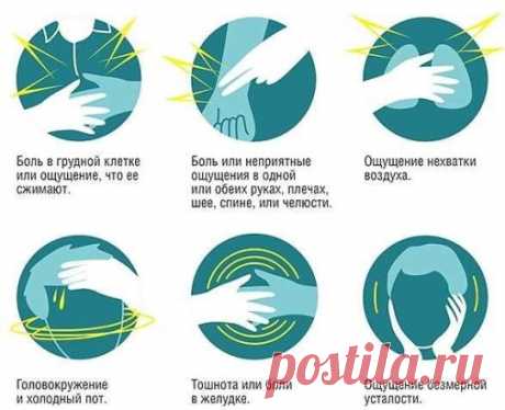Признаки инфаркта, при которых нужно звонить в скорую
От инфаркта миокарда часто умирают, а необратимые изменения в сердце появляются уже через 20 минут после приступа. Поэтому действовать нужно очень быстро.
Инфаркт миокарда — это некроз (омертвение) тканей сердца. Он появляется, когда мышце не хватает кислорода из-за сужения питающих её артерий.
Чтобы ишемическая болезнь трансформировалась в инфаркт, иногда не нужно никаких провоцирующих факторов: достаточно проснуться и встать с кровати. П