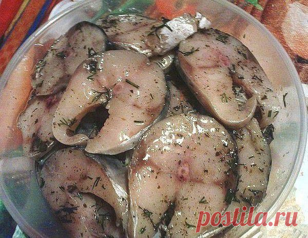 Самый вкусный рецепт засолки рыбы - ЕЛЕНА - Группы Мой Мир
