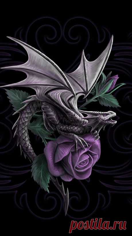 Dragon Beauty wallpaper by K_a_r_m_a_ - f0 - Free on ZEDGE™ Download Dragon Beauty wallpaper by K_a_r_m_a_ - f0 - Free on ZEDGE™ now. Browse millions of popular beauty Wallpapers and Ringtones on Zedge and personalize your phone to suit you. Browse our content now and free your phone