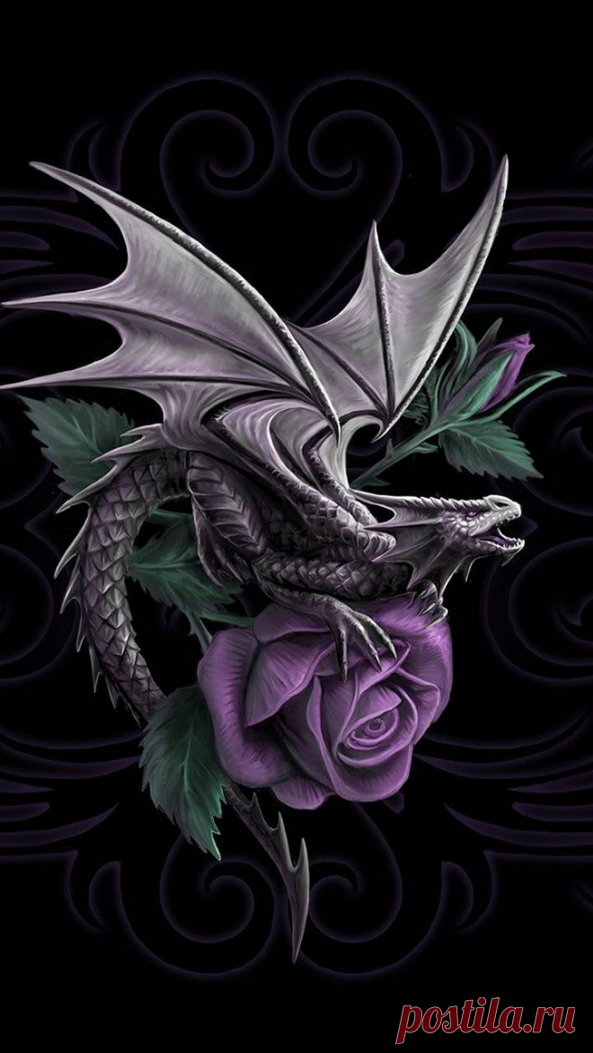 Dragon Beauty wallpaper by K_a_r_m_a_ - f0 - Free on ZEDGE™ Download Dragon Beauty wallpaper by K_a_r_m_a_ - f0 - Free on ZEDGE™ now. Browse millions of popular beauty Wallpapers and Ringtones on Zedge and personalize your phone to suit you. Browse our content now and free your phone