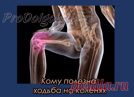 Галина Аполонская - Google+
