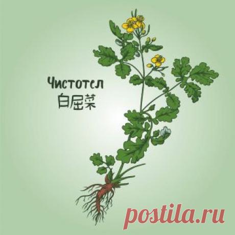 Дневник Валентины Черных