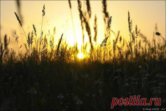 Фотопрогулки. Вечерние отражения