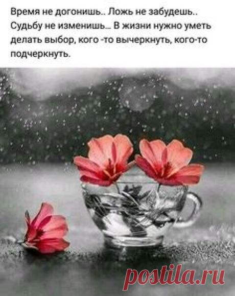 Позитивизм