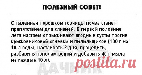 Советы огородников для увеличения урожая — 6 соток