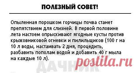 Советы огородников для увеличения урожая — 6 соток