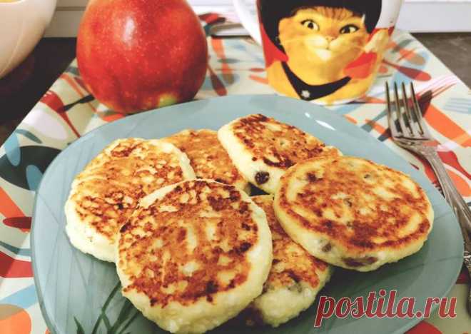(5) Вкуснейшие сырники с изюмом - пошаговый рецепт с фото. Автор рецепта Яна Томшина . - Cookpad
