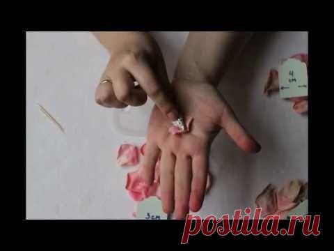 роза из фоамирана - Самое интересное в блогах