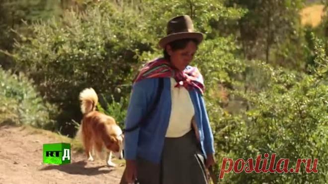 Операция «Бесплодие».