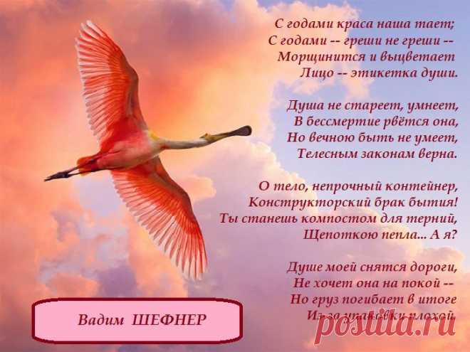 Вадим Шефнер. С годами краса наша тает...
