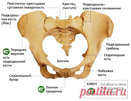 Лечение артроза крестцово-подвздошных сочленений