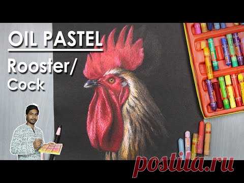 How to Draw A Rooster or Cock Face in Oil Pastel in a Realistic Way