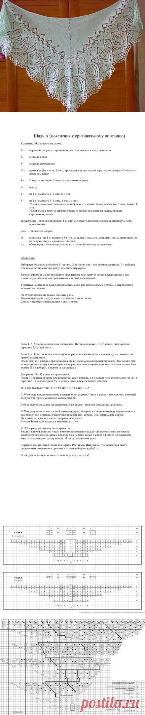 Шаль Энгельна А.Схема,