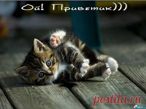 БЛАГОДАРНОСТИ - 50 фото. Фотографии zoja simonova.
