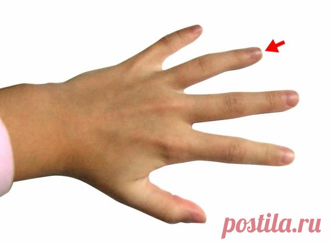 Как безымянные пальцы улучшат работу эндокринной системы, уменьшат боль, успокоят при стрессовых ситуациях | С фитнесом жизнь прекрасна | Яндекс Дзен