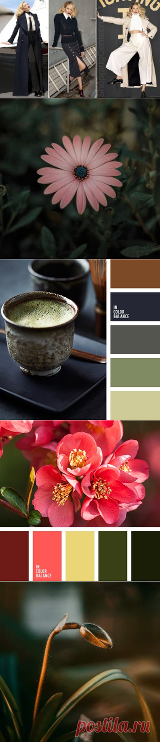 Светлана Петроченкова