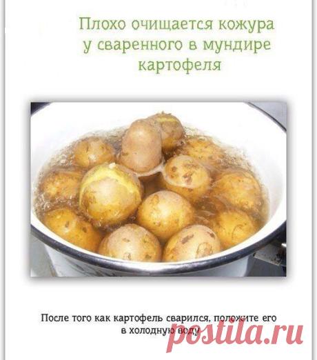 ПОПРОБУЙ