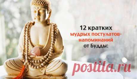 8 уроков Будды – Фитнес для мозга