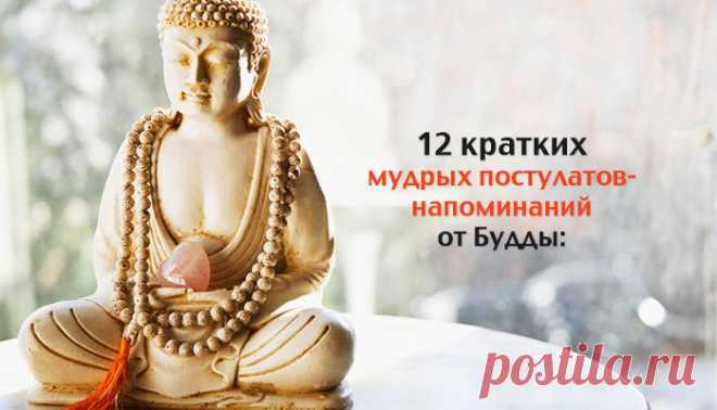8 уроков Будды – Фитнес для мозга
